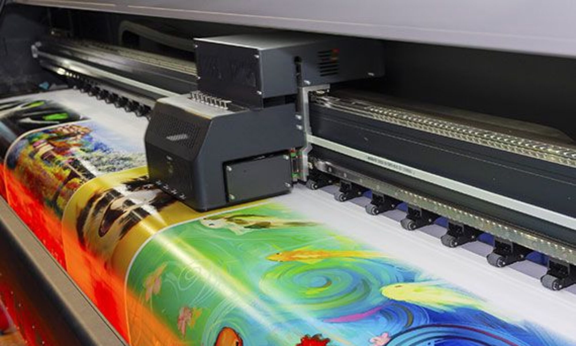 cropped 81776231cd6e244fea377faafe61e043 1.jpg